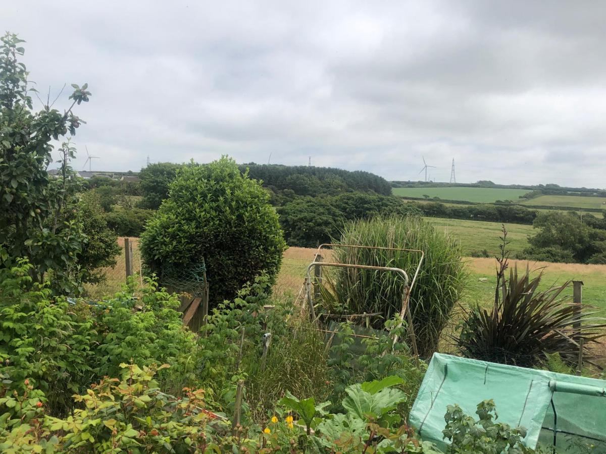 Little Valley View Otterham Extérieur photo