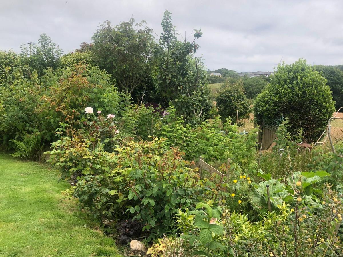 Little Valley View Otterham Extérieur photo